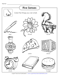 Reading, math and more for kindergarten to grade 5. Four Sided Polygon 6th Grade Language Arts Worksheets Common Core Math Games Solve For Variable Calculator Problems Elements Of A Biography Worksheet Coloring Pages Numbers Operations And Relationships Worksheets 5th Grade English