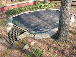 Check spelling or type a new query. Our Old Turtle Pond