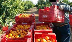 Locuri de muncă creative, posturi vacante în moldova. Agricultura Pagina 18 Munca Top Locuri De Munca In Europa Si Romania