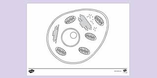 ***we are hoping to get our coloring pages converted to html5 so our online coloring tool may work again, but currently all pages can still be downloaded and printed.***hey all you creative scientists! Typical Animal Cell Colouring Sheet Colouring Colouring Sheets