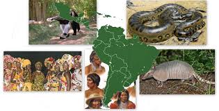 Rd.com knowledge facts consider yourself a film aficionado? Gk Questions And Answers On The Geography Of South America