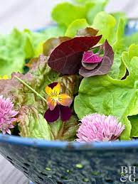 Use Edible Flowers For The Most Instagram Worthy Plates Edible Flowers Edible Plants Edible Garden
