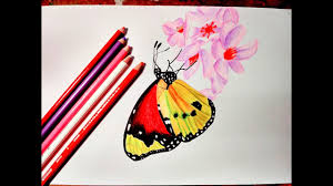 This butterfly is made of many flowers. How To Draw A Realistic Butterfly With Colored Pencils Time Lapse Joy In The Box Youtube