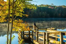 Get the app and take it with you. Best 5 North Carolina State Parks With Rv Camping Cruise America