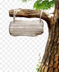 Derepazarı kaptan arif bayraktar öğrenci yurdu. Rize Png Images Pngwing