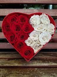 We did not find results for: Preserved Eternal Roses In Heart Shaped Boxes By Deja Vu Flowers