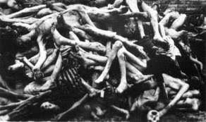 Image result for holocaust photos