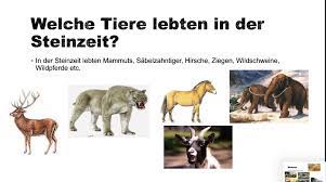 Das meinekraft resource pack bietet dir sehr gut und sehr niedlich gestaltete tiere. Wie Alles Began Die Ersten Menschen Zentral Teams Webseite