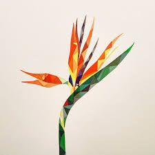 Sketch Bird Of Paradise Flower Drawing Lourdes Villagomez On Instagram Pensando En Aves Del Paraiso Thinking About Crane Flower Lourdesv Bird Of Paradise Tattoo Geometric Bird Geometric Artists