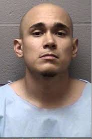 Suspects captured, charged in Elgin home invasion