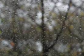 It is recommended to browse the workshop from wallpaper engine to find something you like instead of this page. Hd Wallpaper Photo Of Water Droplets Rainy Day Raindrop Drip Wet Sad Wallpaper Flare