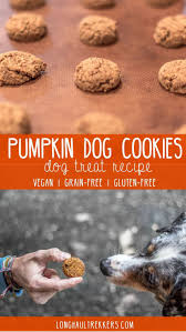 Grain Free Dog Treat Recipe Pumpkin Cookies Long Haul Trekkers Recipe Grain Free Dog Treats Recipes Dog Treats Grain Free Dog Cookie Recipes