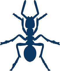 Having rats, mice, and other rodents take residence in your crawlspace and attic can not only cause physical damage to your home's insulation but also cause extremely bad smells that can. American Pest Services Pest Control Services