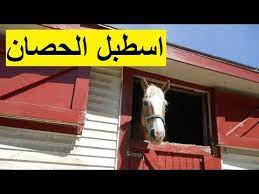 تعلم أسماء بيوت الحيوانات فيديو تعليمي للصف الاول youtube shed sitting in a tree all the pretty horses