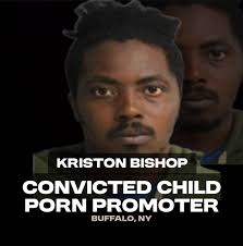 New York State Predator Alert