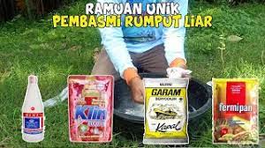 Harbisida buatan pabrik 2 liter (1… Cara Membuat Herbisida Alami Murah Meriah Dan Ramah Lingkungan Youtube