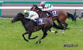 Самые новые твиты от 熟女会 (@shunvhui). æ¡œèŠ±è³ž ä»Šå¹´ã‚‚ãƒãƒ¥ãƒ¼ãƒªãƒƒãƒ—è³žçµ„ã®æ¿€èµ°ã«è¦æ³¨æ„ ç«¶é¦¬ãƒ‹ãƒ¥ãƒ¼ã‚¹ ç«¶é¦¬ãƒ©ãƒœ