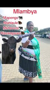 #mapengo#mahlaule#hlabangwani#mlambya#mkhoveni#swiphatoswavatsonga
