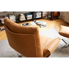 Image result for Cordia stuhlmannii