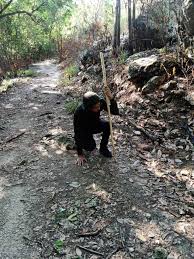 Check spelling or type a new query. Acap Anak Baik Dia Nak Sangat Balik Di Pangkuan Keluarga Dan Isteri Dia Tak Nak Tinggal Disana Pun Perkongsian Ustaz Norazri Petua Dan Resepi Bonda