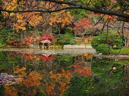 Ryoan Ji Temple Mirror Lake Japanese Garden Japanese Garden Design Beautiful Japanese Gardens