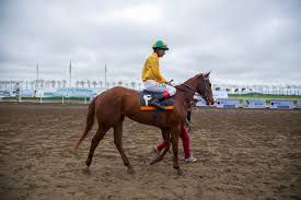 File:مسابقات اسب دوانی گنبد کاووس Horse racing In Iran- Gonbad-e Kavus 33.jpg - Wikimedia Commons