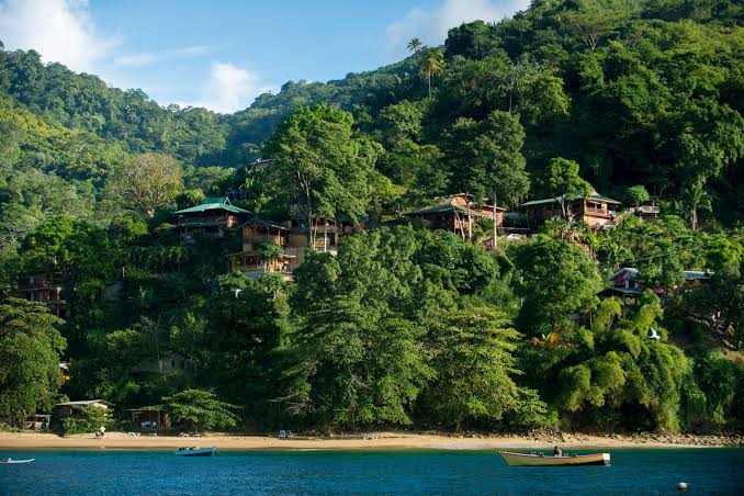 Treetops - Our Retreats - Castara Retreats