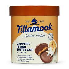 Old Fashioned Vanilla Ice Cream - Tillamook