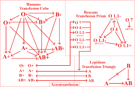 Transfusion Chart By Lucashc90 Fur Affinity Dot Net