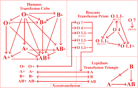 transfusion chart by lucashc90 fur affinity dot net