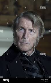 Sally fox hi-res stock photography and images