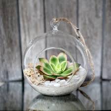 70 Hanging Succulent Terrarium Wedding Favours For Natalie Etsy Terrarium Wedding Favor Succulent Terrarium Terrarium Gifts