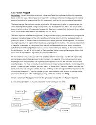 230 403 просмотра • 27 нояб. 6 Cell Poster Project
