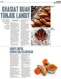 Buah tunjuk langit telah mendapat perhatian di mata dunia sejak kebelakangan ini setelah banyak kajian bioteknologi yang dijalankan menemui pelbagai kebaikan yang boleh diperolehi daripada buah tersebut. Khasiat Buah Tunjuk Langit Klik