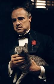 The Godfather I 1972 The Godfather Marlon Brando Godfather Movie
