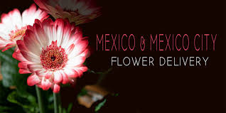 Canada mexico puerto rico trinidad and tobago usa. The 20 Best Options For Flower Delivery In Mexico Mexico City 2021