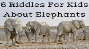 We have found 1 possible solution matching the query elephant ___ and the answer is shown below. Elephant Riddles