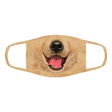 They're fluffy little teddy bears that are full of how to train your golden retriever puppy. Triple Layer Big Face Golden Retriever Puppy Face Mask The Mountain