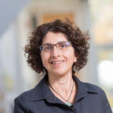 September 17, 2020: IRES Faculty Roundtable with Milind Kandlikar, David  Boyd, and Claire Kremen