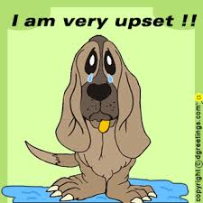 images?q=tbn:ANd9GcRuTTp9bDZ1WV74-TZXSZVcmxv4s-rOeZhXgx5UWFD1bexN-SaDbQ