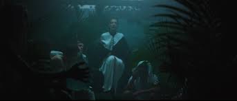 Team was written by lorde and joel little while the former was traveling the world. Lorde Team Video
