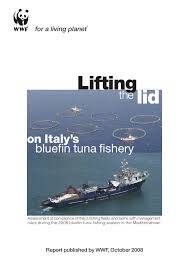 Image result for Azzurro Tirreno 1992 Fleet