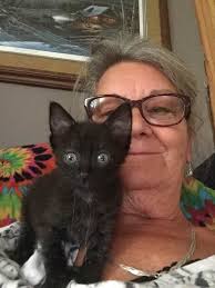 Adopting a special needs cat from Golden Valley Humane Society