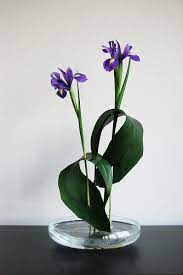 Pin On Ikebana