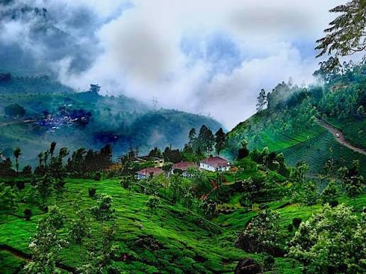 Coorg Tourism | Complete Coorg Travel guide 2024 - Kiomoi