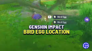 How To Obtain Bird Eggs In Genshin Impact Bird Eggs Bird Farm Eggs