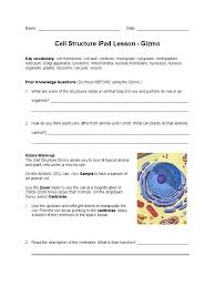 Student exploration cell energy cycle answers. Ipad Lesson Gizmo Ws Eukaryotes Biology