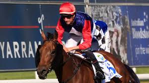 Horse racing is one of australia's most popular sports. Newcastle Races Friday Tips And Full Preview For Newmarket Day