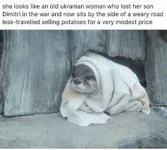 Cute Animals Saying Hi Loutre De Mer Bebe Loutre Animaux Mignons