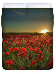 Sunset At Poppy Field Tote Bag by Danny Birrell Photography